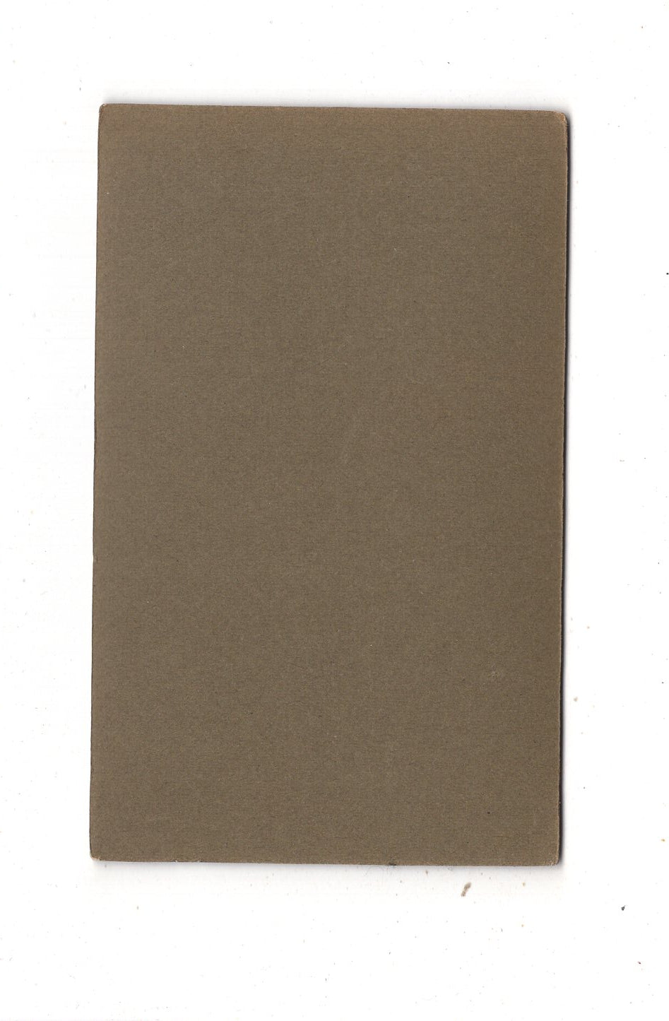 Fotografie Feines Paar - Dessau 1900er / CDV L1-38