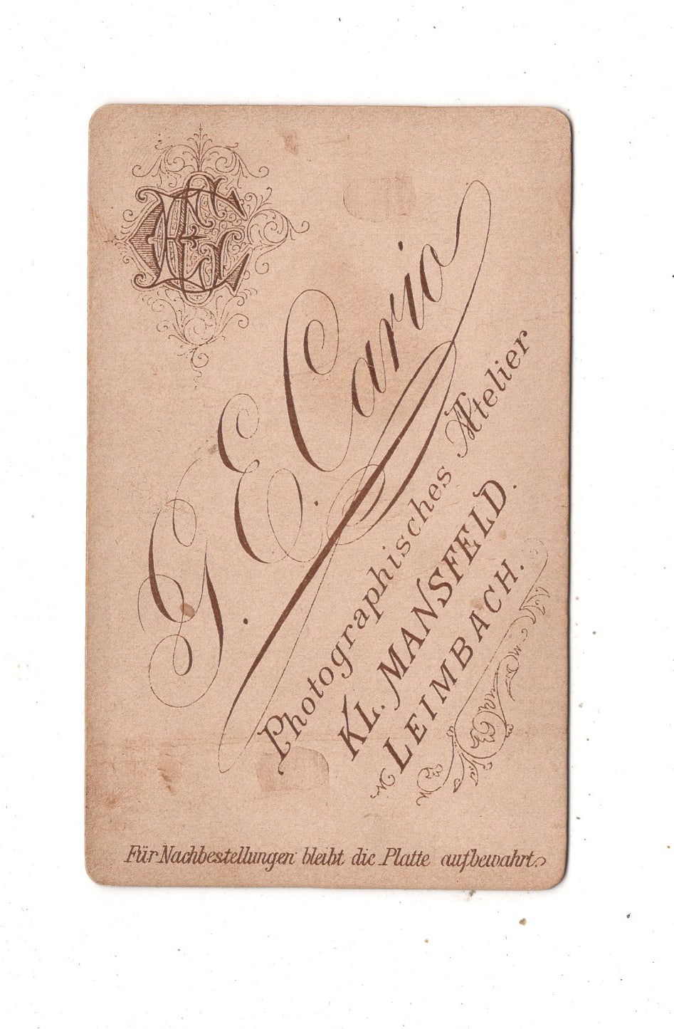 Fotografie Feine Dame mit kleinen Kindern - Kl. Mansfeld / Leimbach 1880er