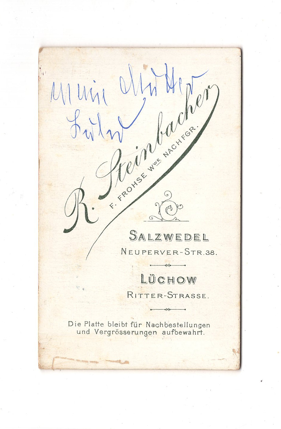 Fotografie Damenportrait - Salzwedel / Lüchow um 1890 / CDV C1-17