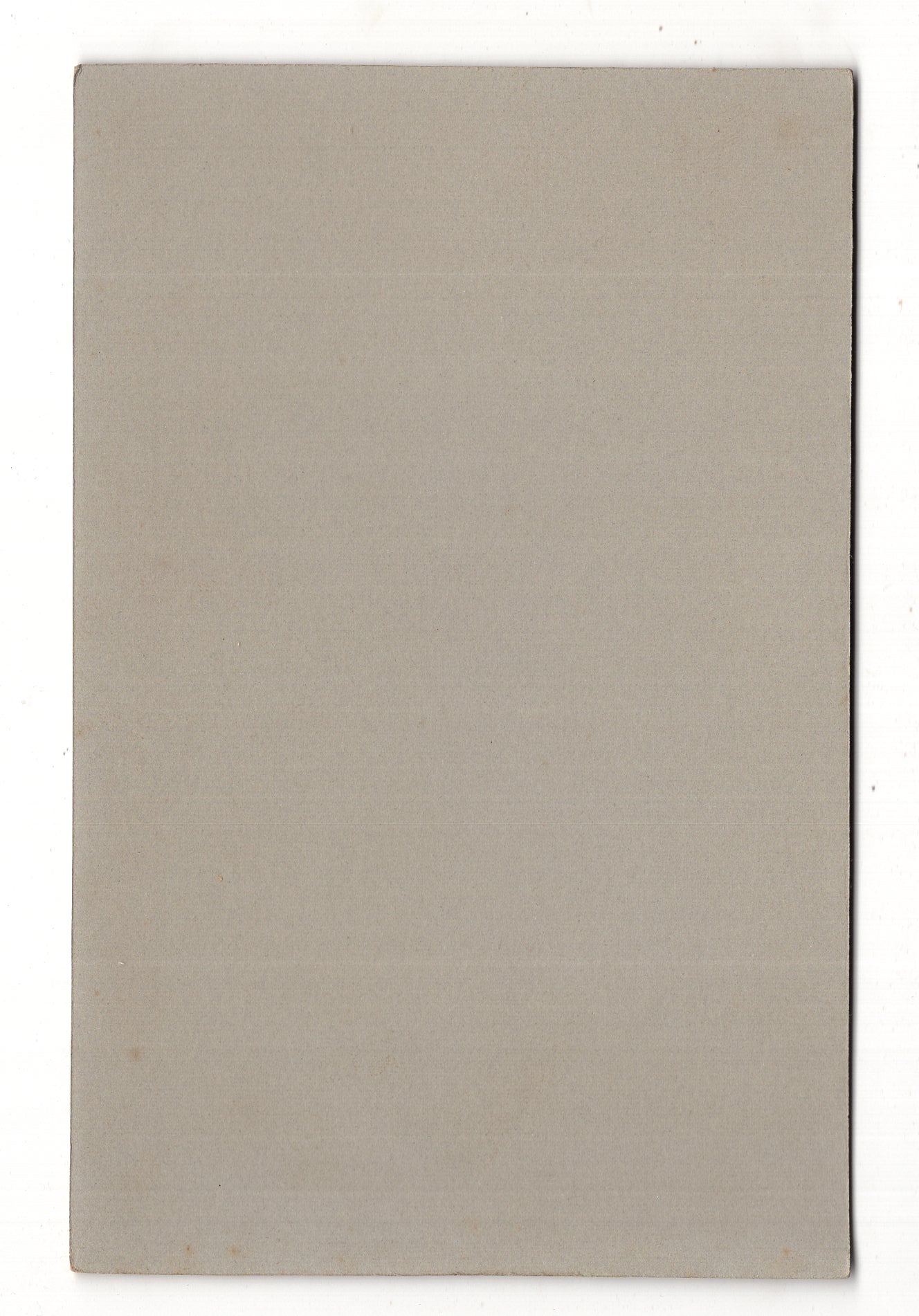 Fotografie Schönes Hochzeitsbild - unbekannter Ort 1900er