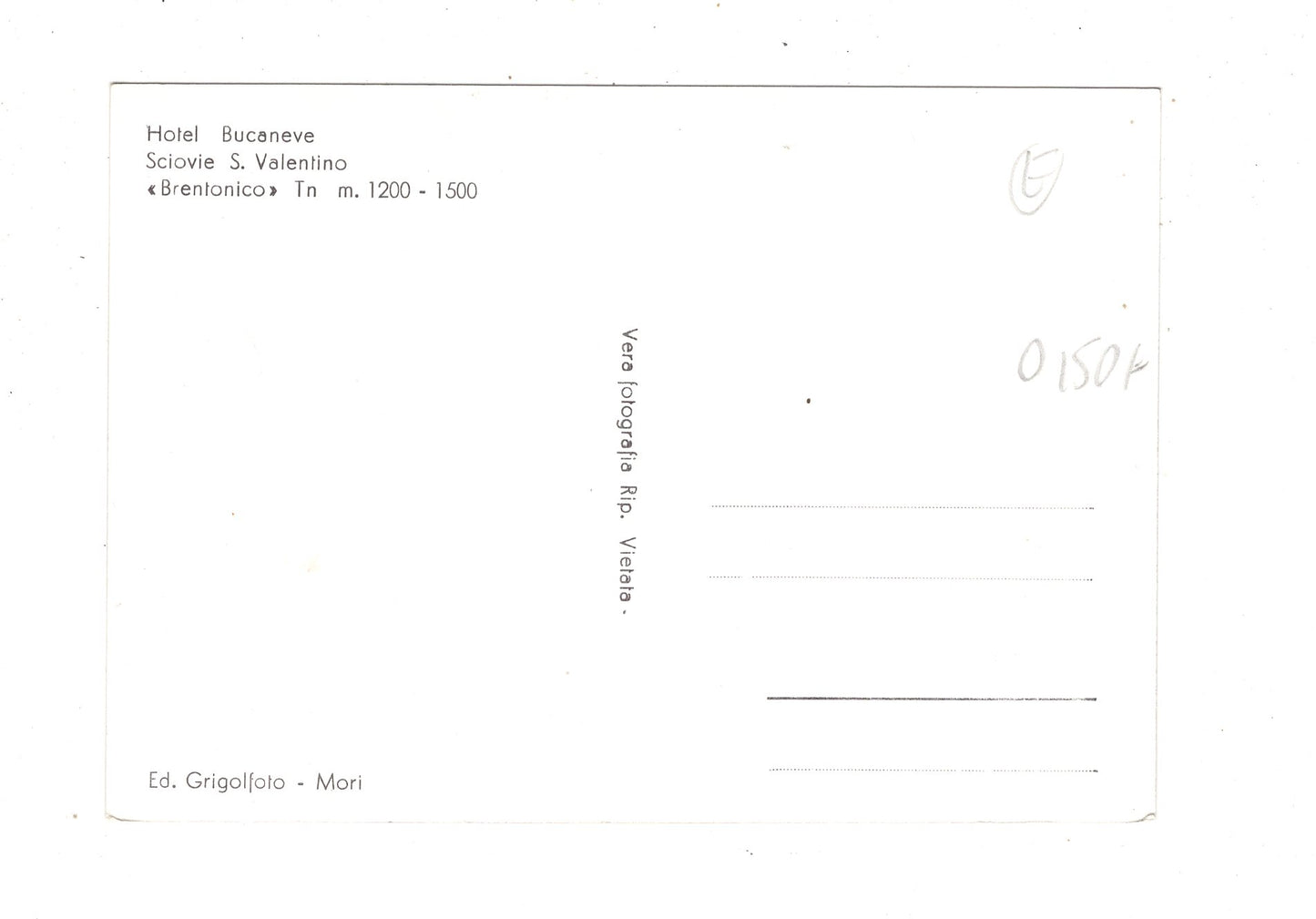 Ansichtskarte Hotel Bucaneve / Brentonico / Italien / N1-60