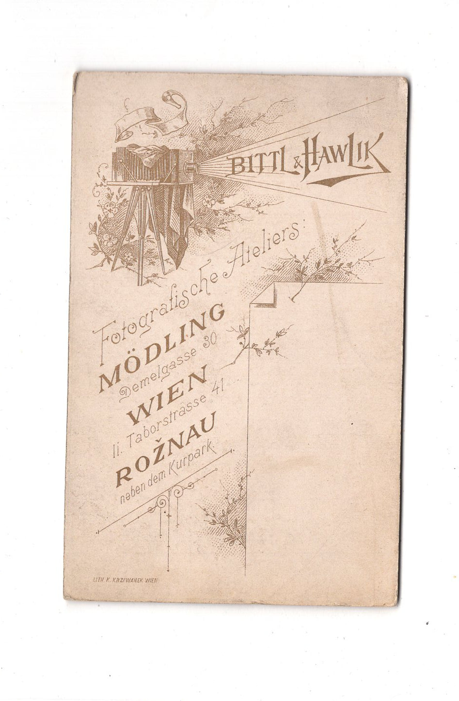 Fotografie Herrenportrait - Wien / Mödling / Roznau um 1890 / CDV C1-18