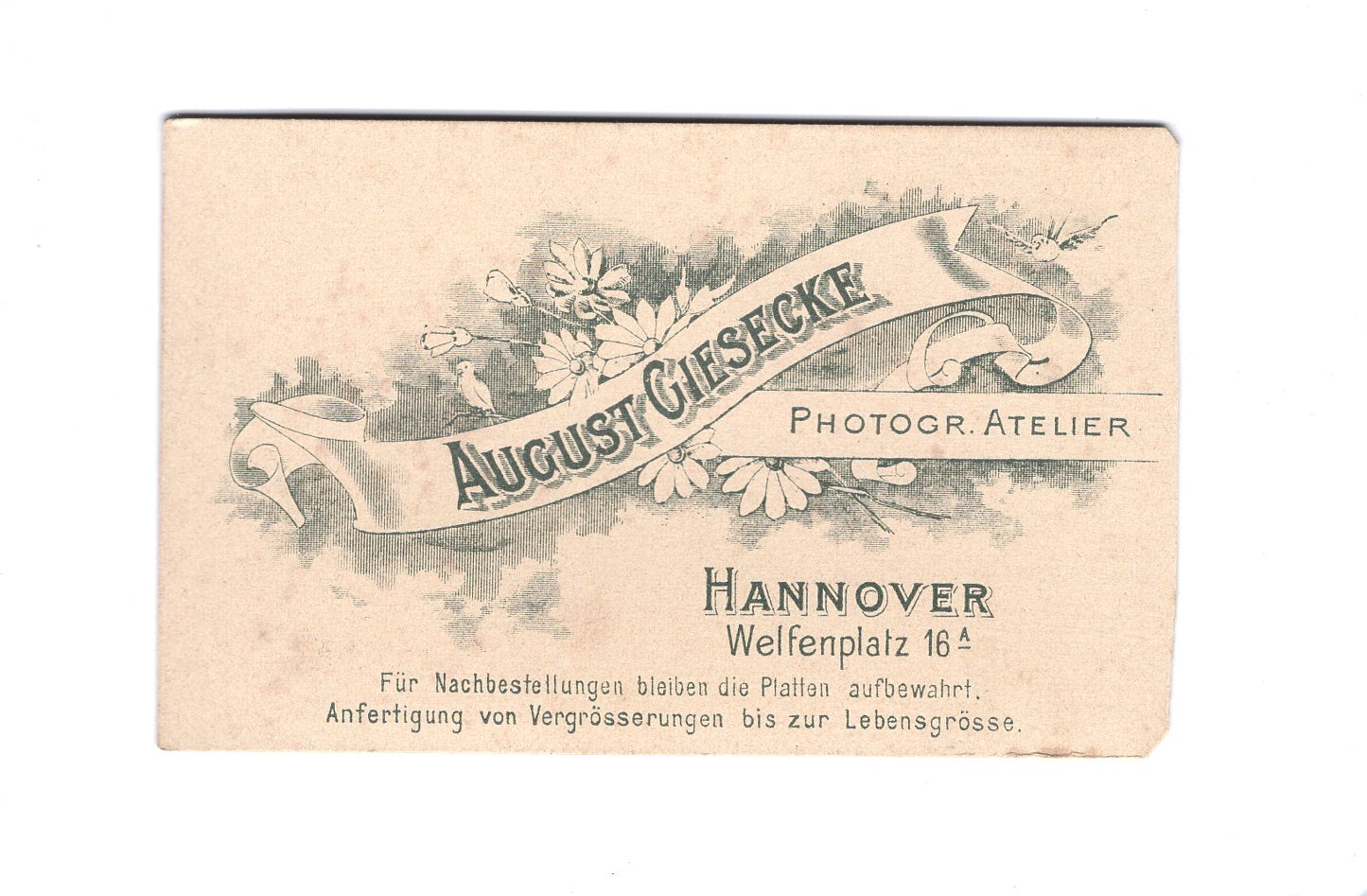 Fotografie Niedlicher kleiner Junge - Hannover um 1890
