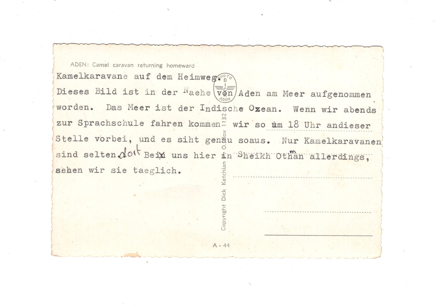 Ansichtskarte Aden / Kamel Karavane / Jemen