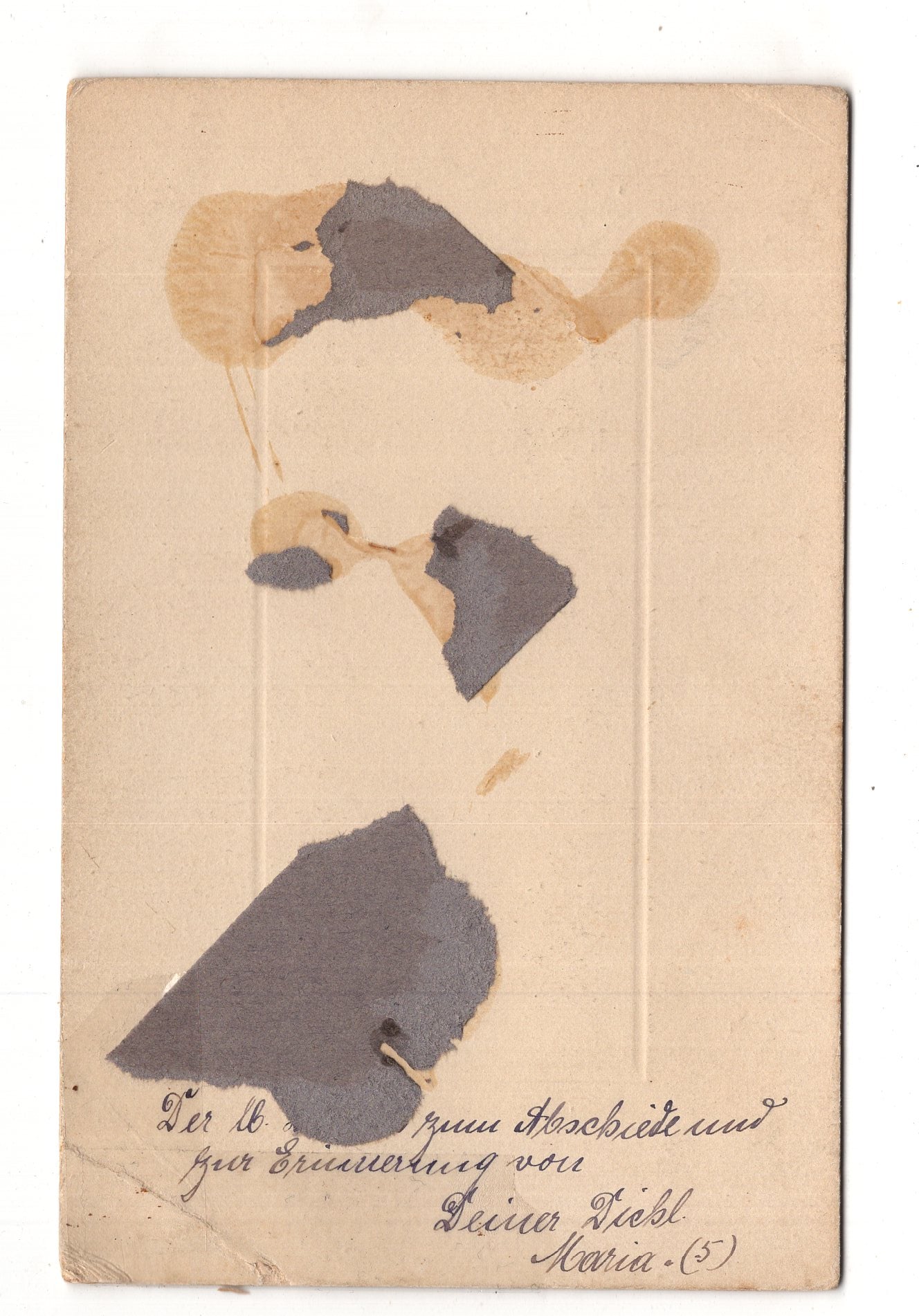 Fotografie Feines junges Mädchen mit Widmung - Siegen 1910er