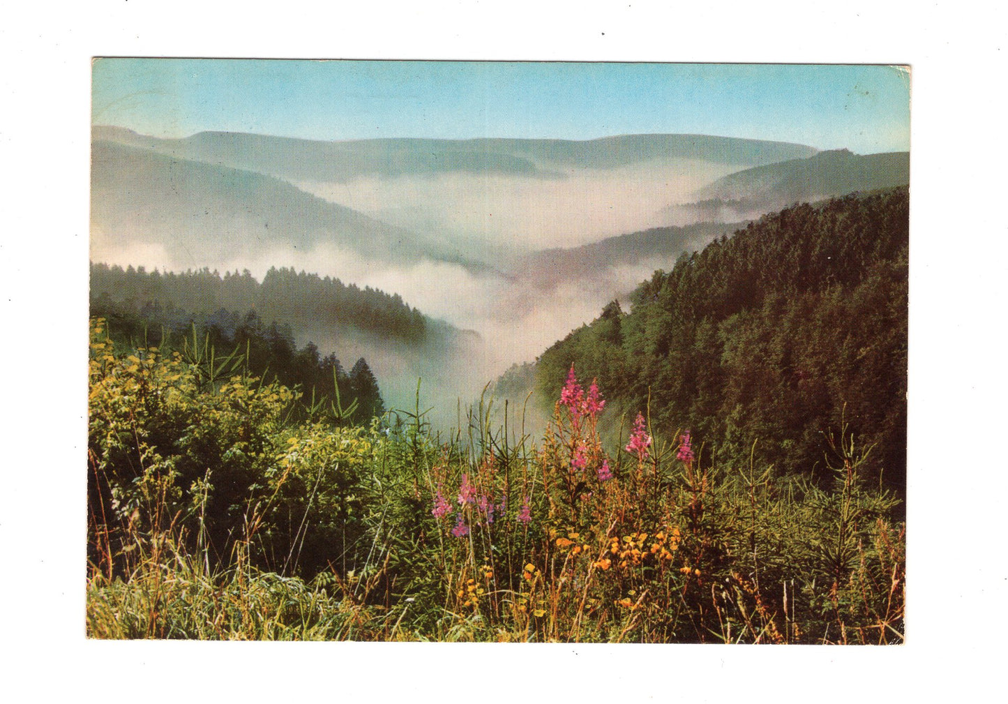 Ansichtskarte Im schönen Sauerland