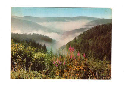 Ansichtskarte Im schönen Sauerland