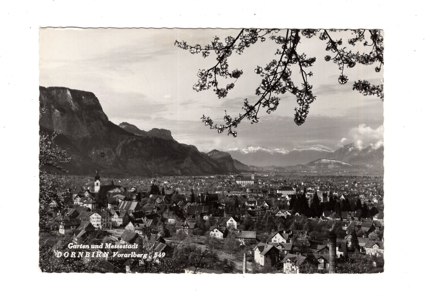 Ansichtskarte Dornbirn / Vorarlberg / Österreich