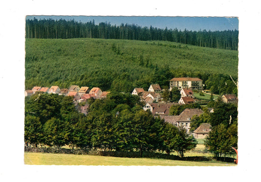 Ansichtskarte Neuhaus im Solling