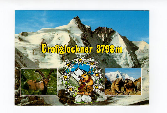 Ansichtskarte Großglockner-Massiv / Österreich
