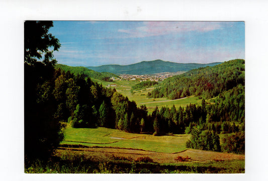 Ansichtskarte Grafenau / Bayerischer Wald