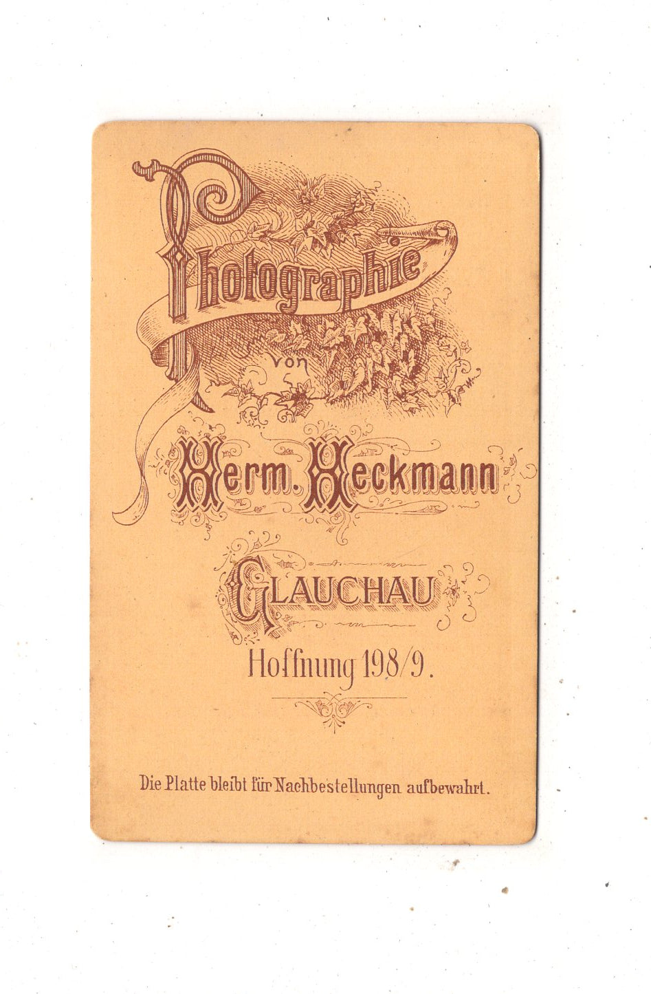 Fotografie Niedliche kleine Jungen - Glauchau 1870er