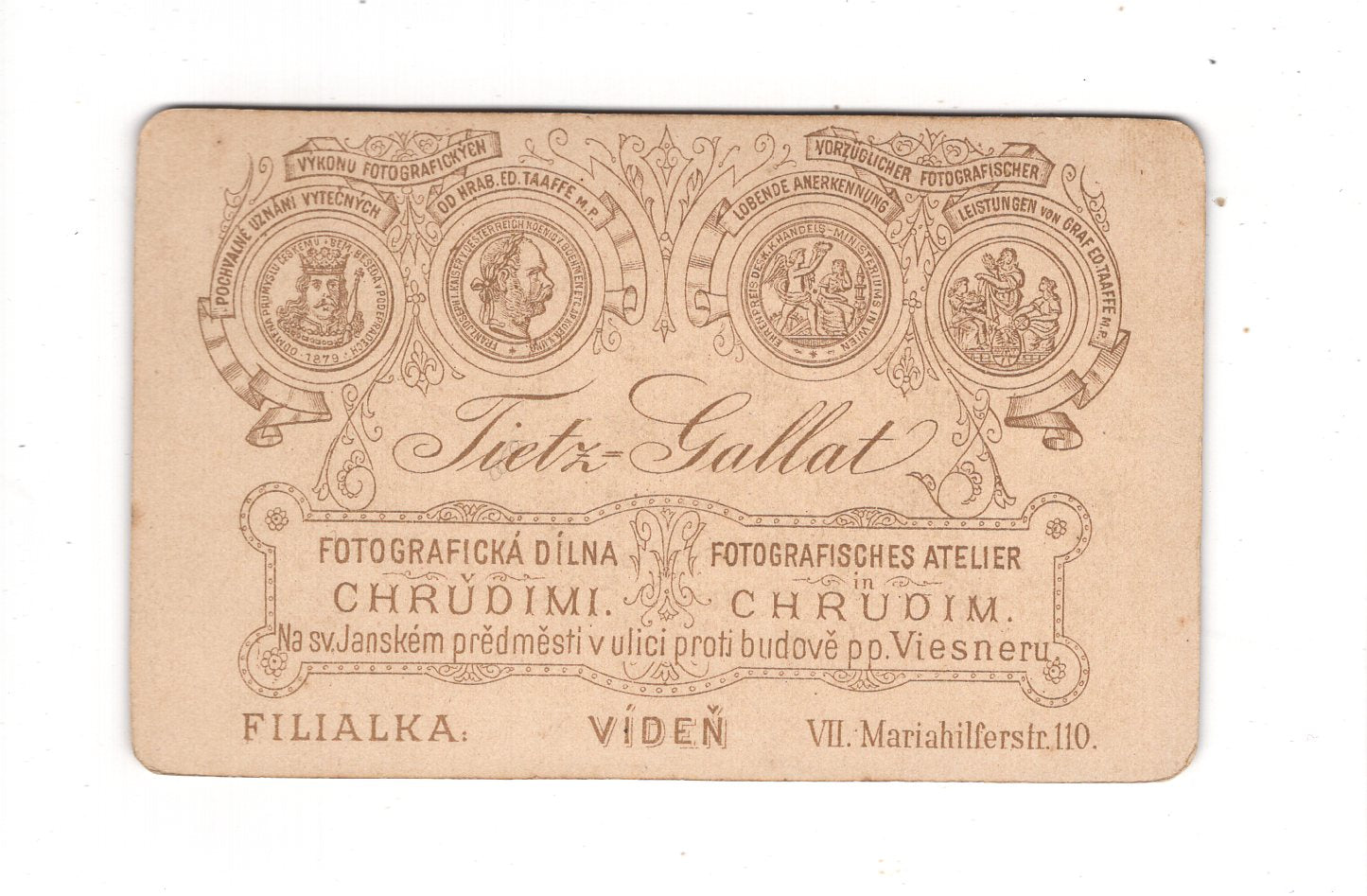 Fotografie Damenportrait - Chrudim / Viden 1890er / CDV N1-11