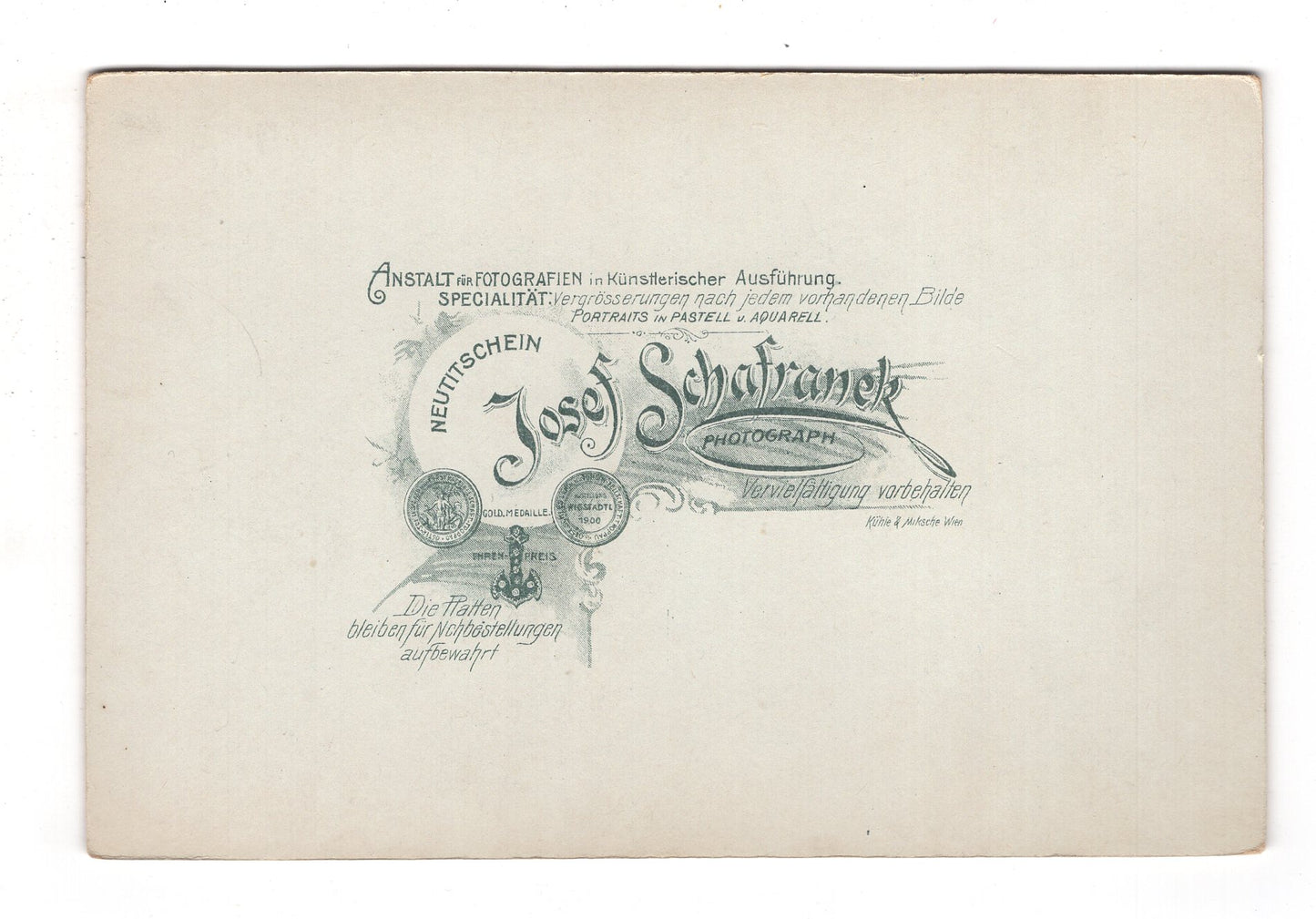 Fotografie Feine Dame - Neutitschein 1900er / CAB W-19