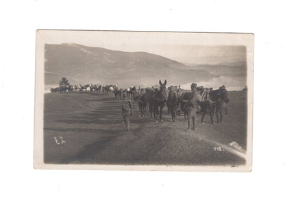 Ansichtskarte / Foto / Soldaten ziehen über die Berge