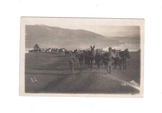 Ansichtskarte / Foto / Soldaten ziehen über die Berge