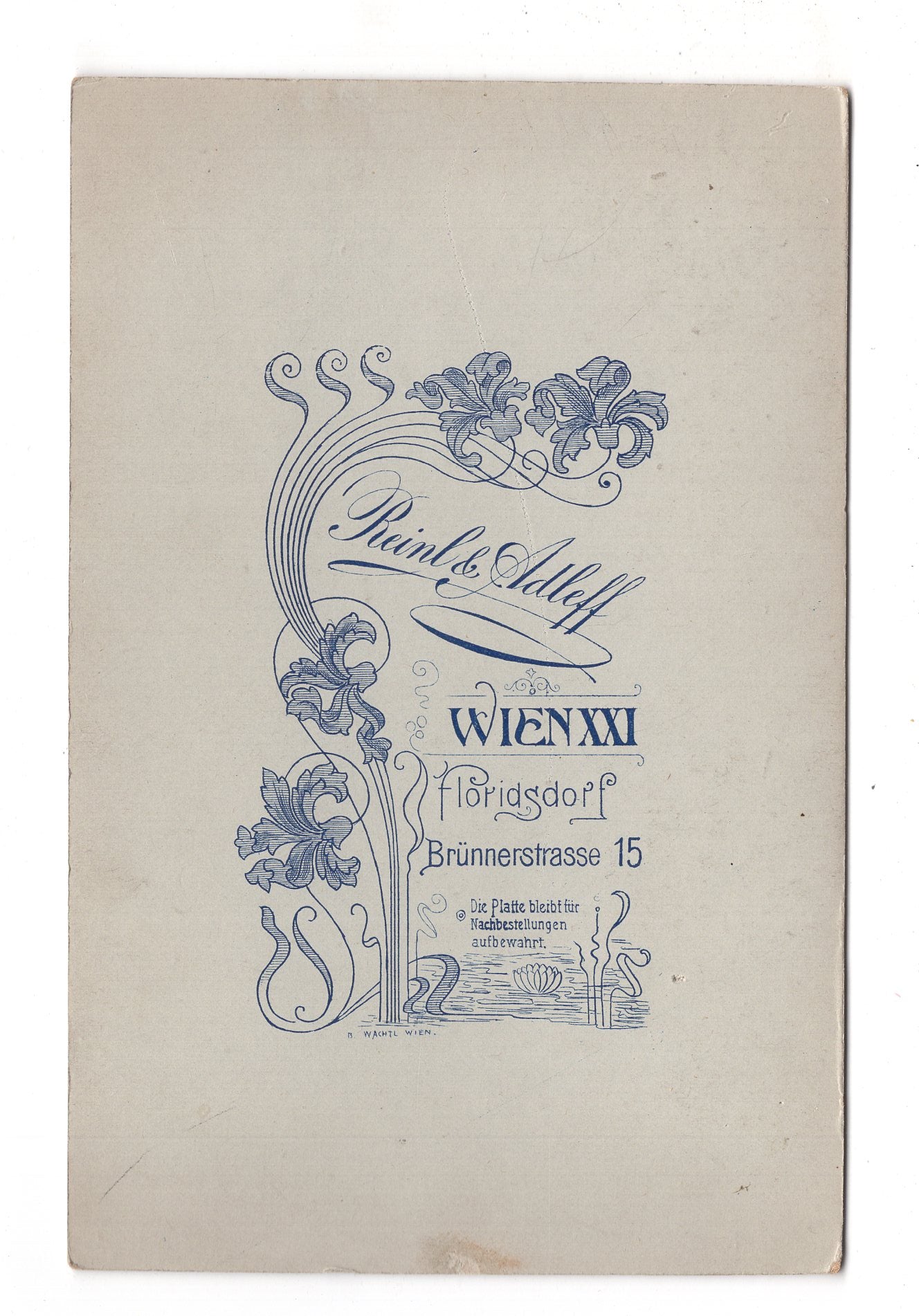 Fotografie Feine Dame - Wien 1900er / CAB W-19