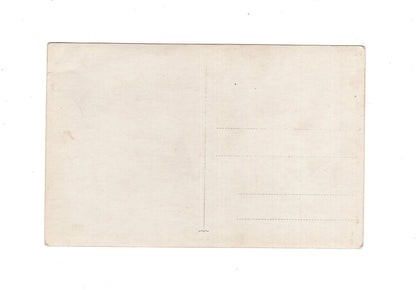 Ansichtskarte / Foto / Soldaten ziehen über die Berge