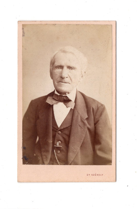 Fotografie Herrenportrait - Wien um 1880 / CDV C1-19