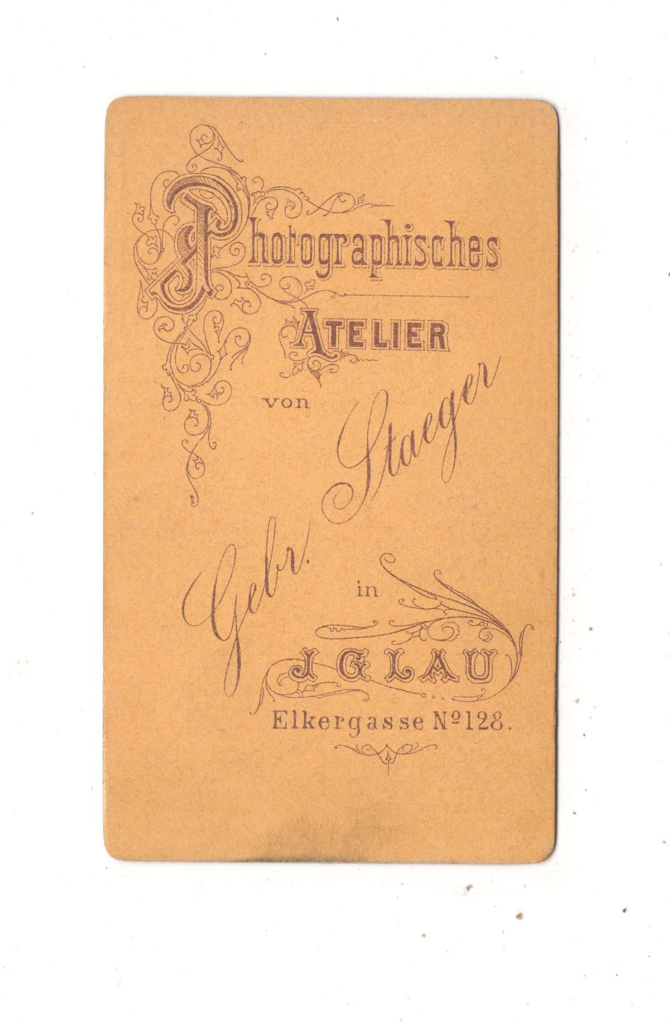 Fotografie Damenportrait - Iglau 1870er / CDV N1-11