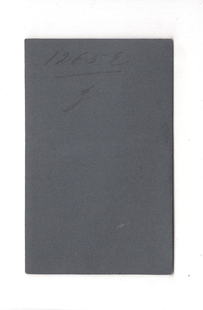 Fotografie Damenportrait - Basel um 1900 / CDV C1-01