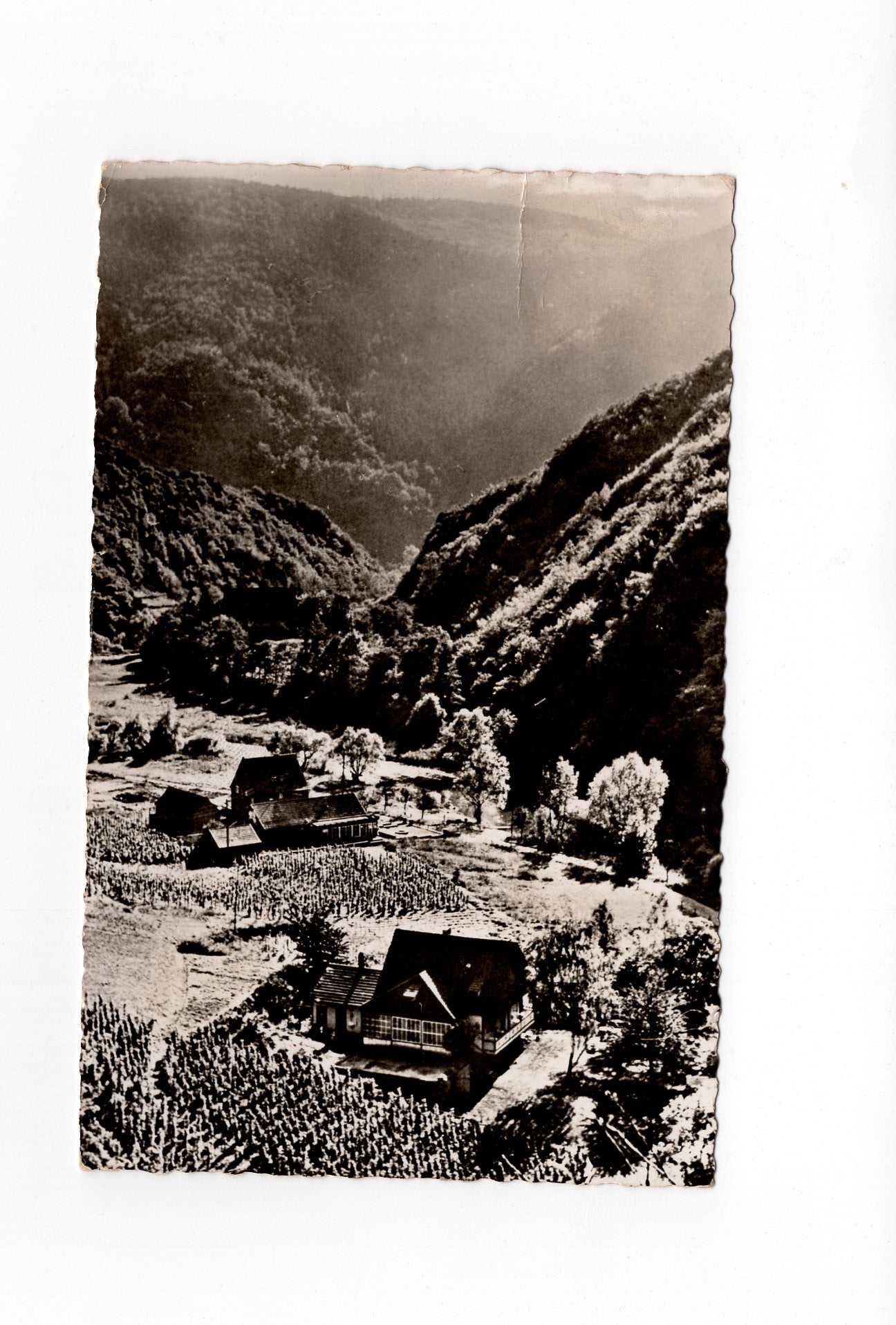 Ansichtskarte Altenahr / Langfichtal-Gaststätte Kleine Schweiz