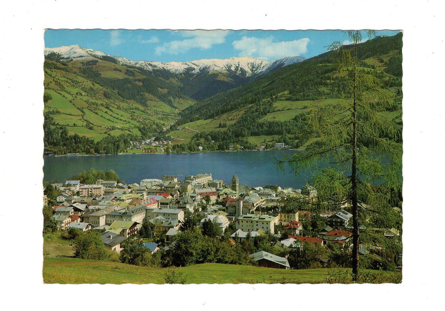 Ansichtskarte Zell am See / Salzburger Land / Österreich