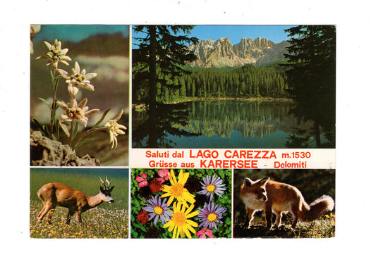 Ansichtskarte Karersee / Dolomiten / Italien / N1-63