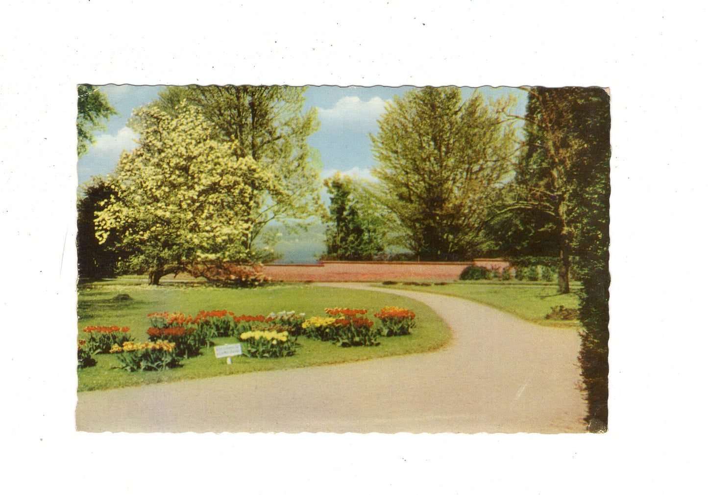 Ansichtskarte Insel Mainau im Bodensee / J1-64