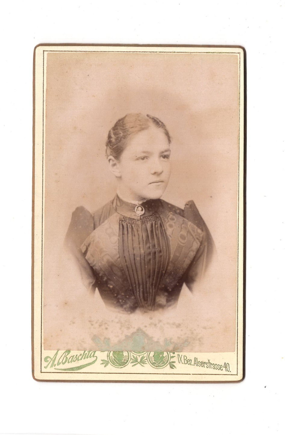 Fotografie Damenportrait - Wien 1880er / CDV C1-01