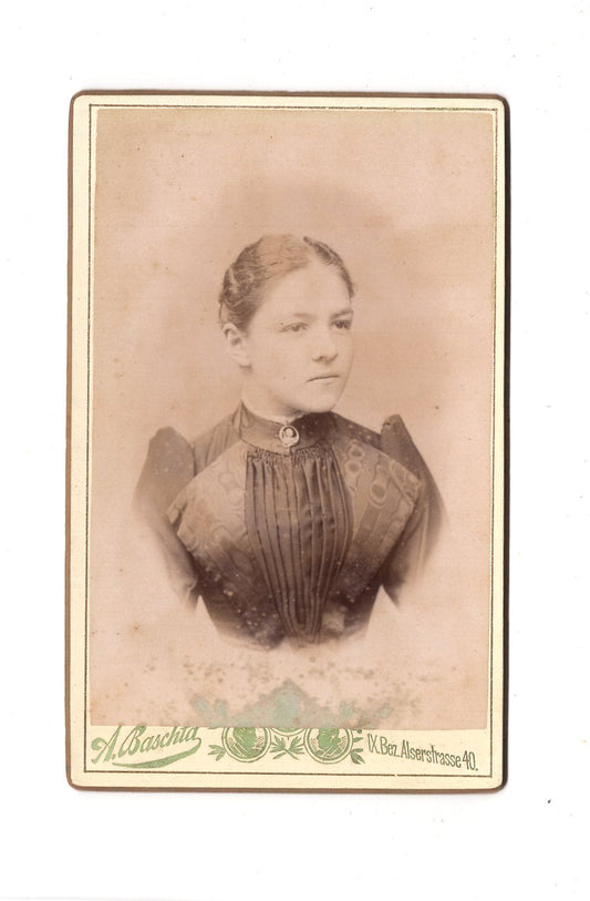 Fotografie Damenportrait - Wien 1880er / CDV C1-01