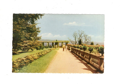 Ansichtskarte Insel Mainau im Bodensee / J1-64