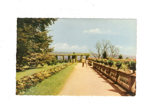 Ansichtskarte Insel Mainau im Bodensee / J1-64