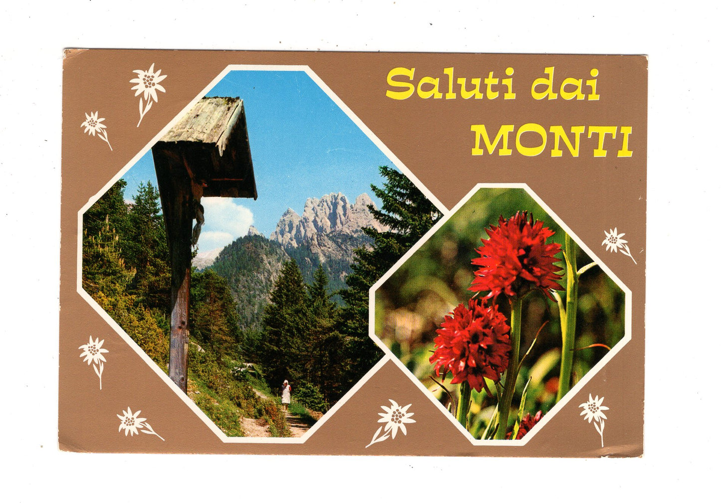 Ansichtskarte Saluti da Monti / Italien / N1-63