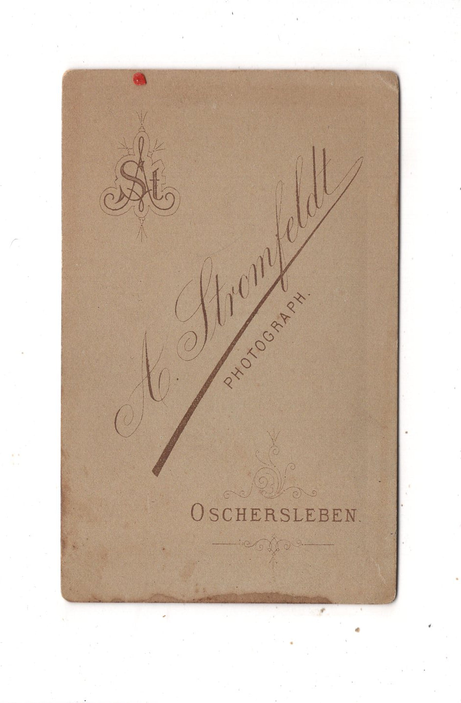 Fotografie Feine Dame - Oschersleben 1870er