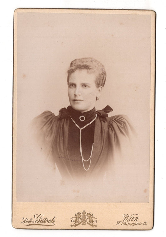 Fotografie Feine Dame - Wien 1890er / CAB W-19