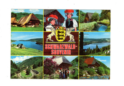 Ansichtskarte Schwarzwald-Souvenir / K1-56