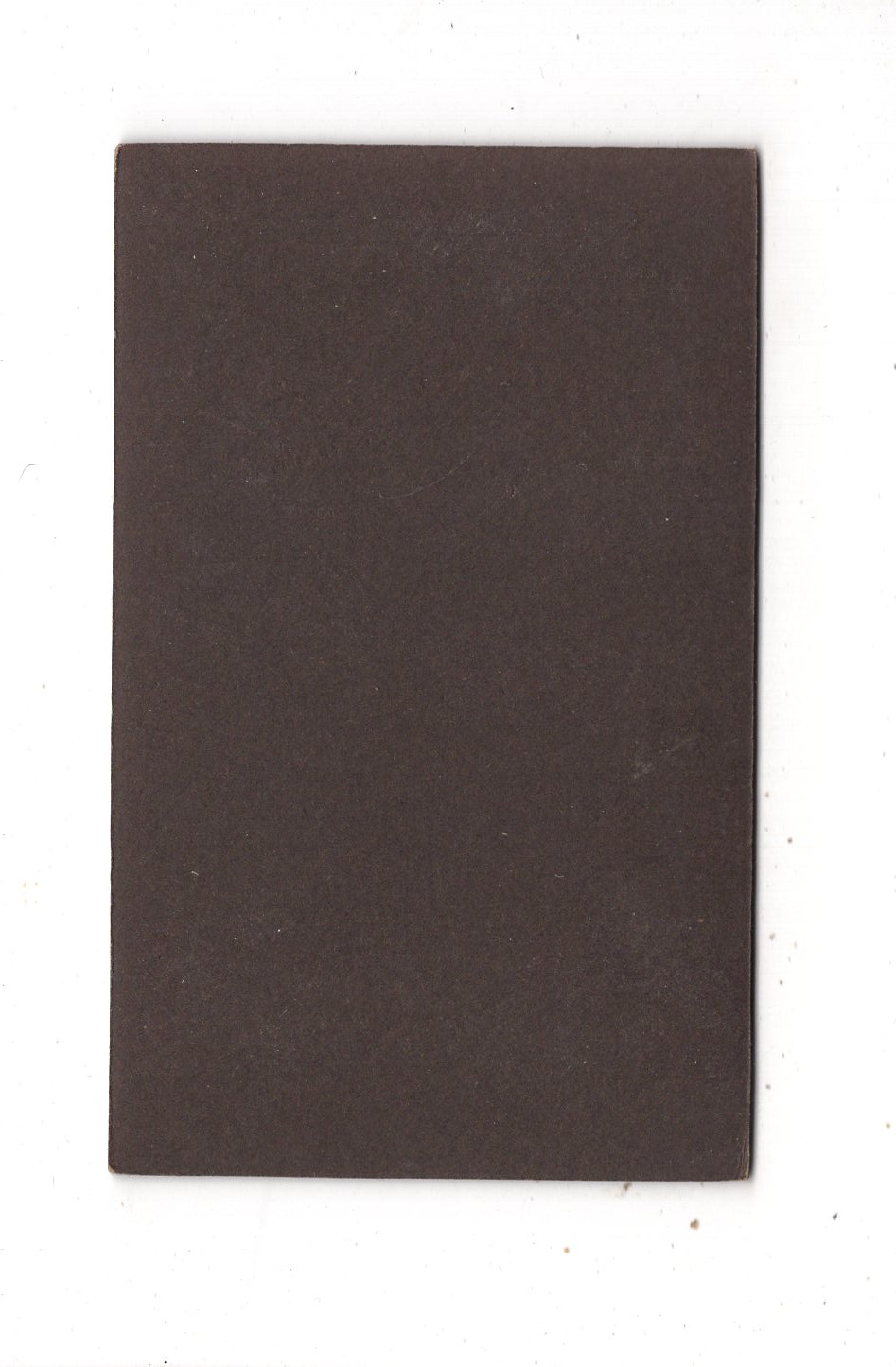 Fotografie Feine Dame - Oschersleben um 1910