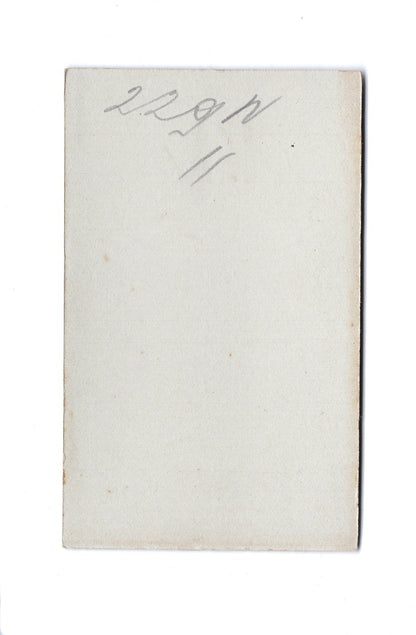 Fotografie Damenportrait - Basel / Schweiz 1890er