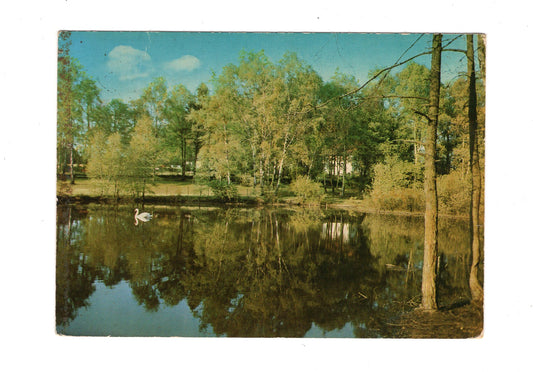 Ansichtskarte Hörste / Lage-Hörste / Teutoburger Wald / Waldteich
