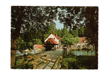 Ansichtskarte Waldhotel Silbermühle / Leopoldstal