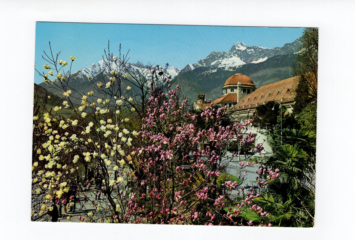 Ansichtskarte Frühling in Meran / Südtirol / Italien