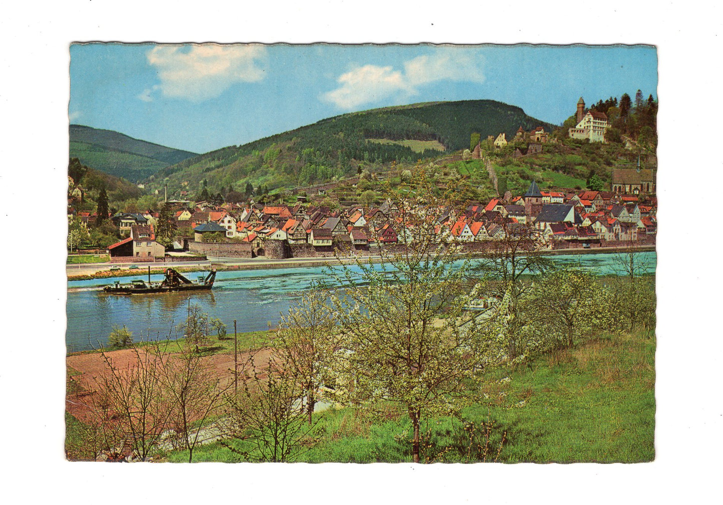 Ansichtskarte Hirschhorn am Neckar