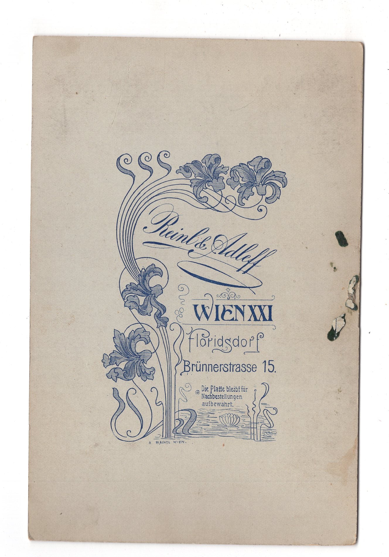 Fotografie Feine Dame - Wien 1900er / CAB W-19