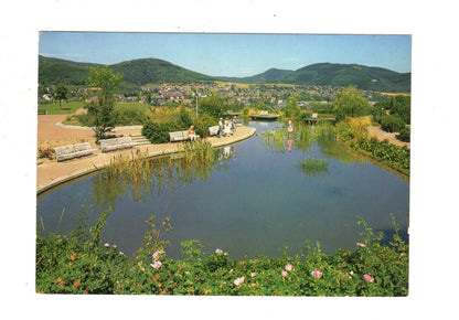 Ansichtskarte Bad Laasphe / Im Kurpark / I1-66