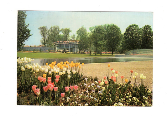 Ansichtskarte Bundesgartenschau Festival in Köln 1971