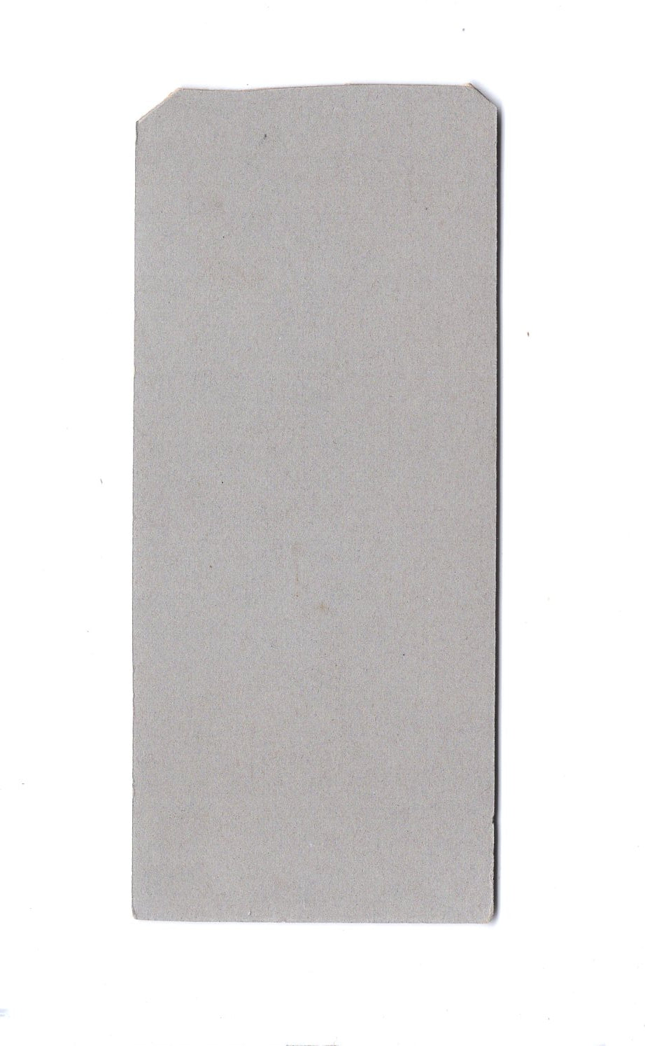 Fotografie Feine Dame - Greifswald 1900er