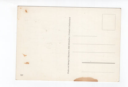 Ansichtskarte Stein am Rhein /  Kreuzlingen / Steckborn +++ Schweiz