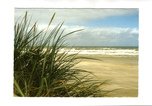 Ansichtskarte Insel Sylt / Dünenausblick an der Nordsee