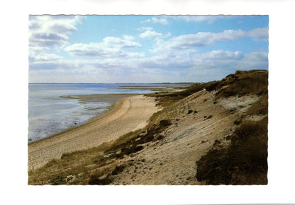 Ansichtskarte Insel Sylt / Am Braderuper Kliff